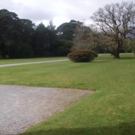 The Purple Heather 3*