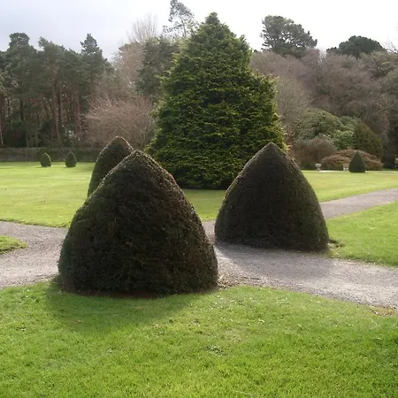 The Purple Heather Oda ve Kahvaltı 3*