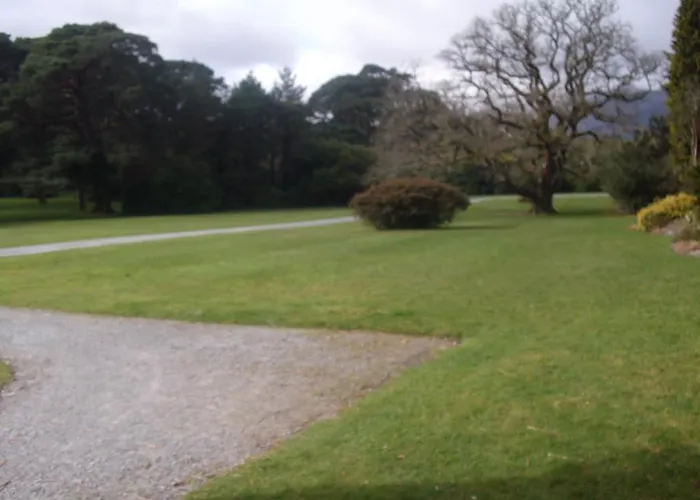 The Purple Heather 3*