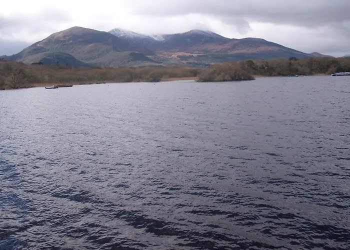 The Purple Heather 3*